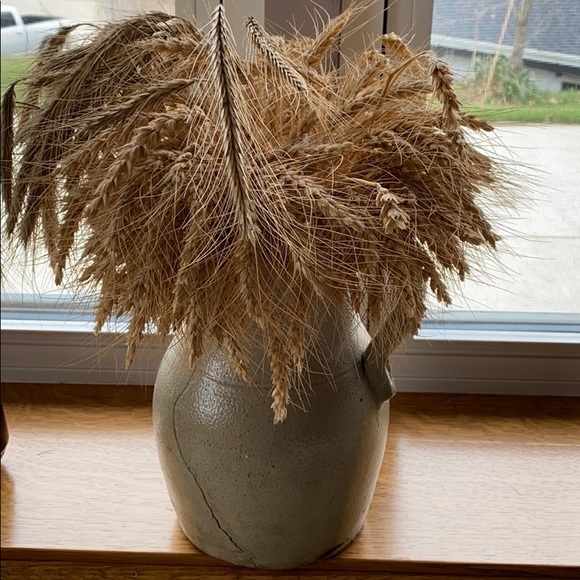 Meet your Posher, Donna - Picture 1 of 1